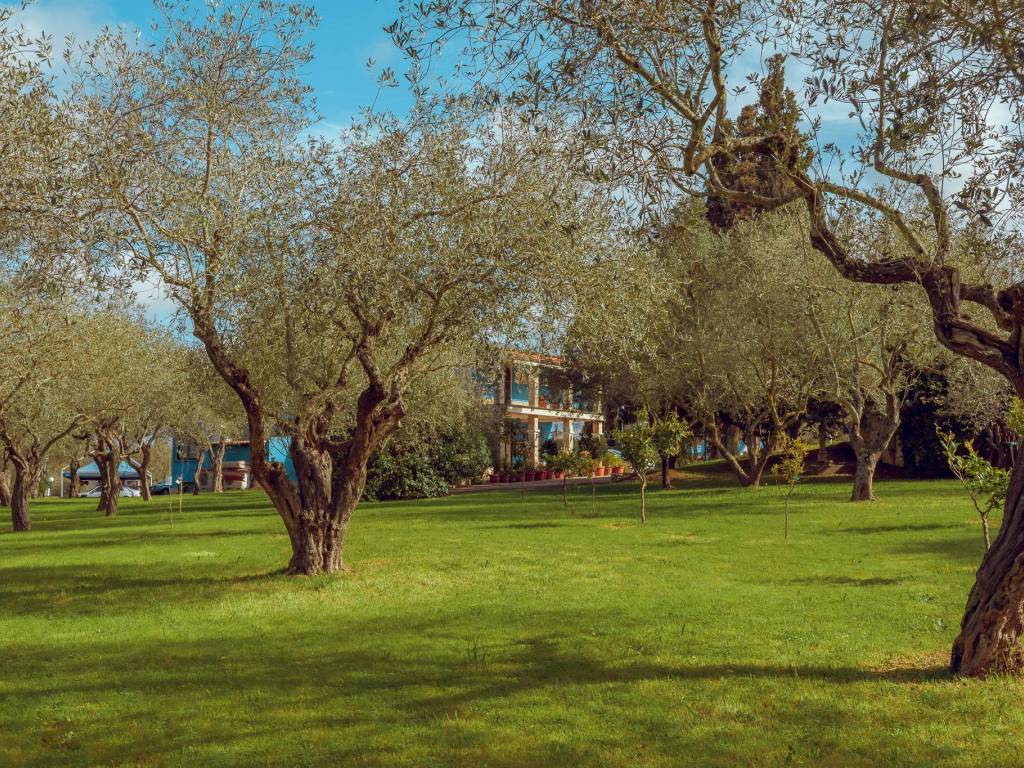 Villa a Sassari in Strada Provinciale ex-SS291 - Foto 4