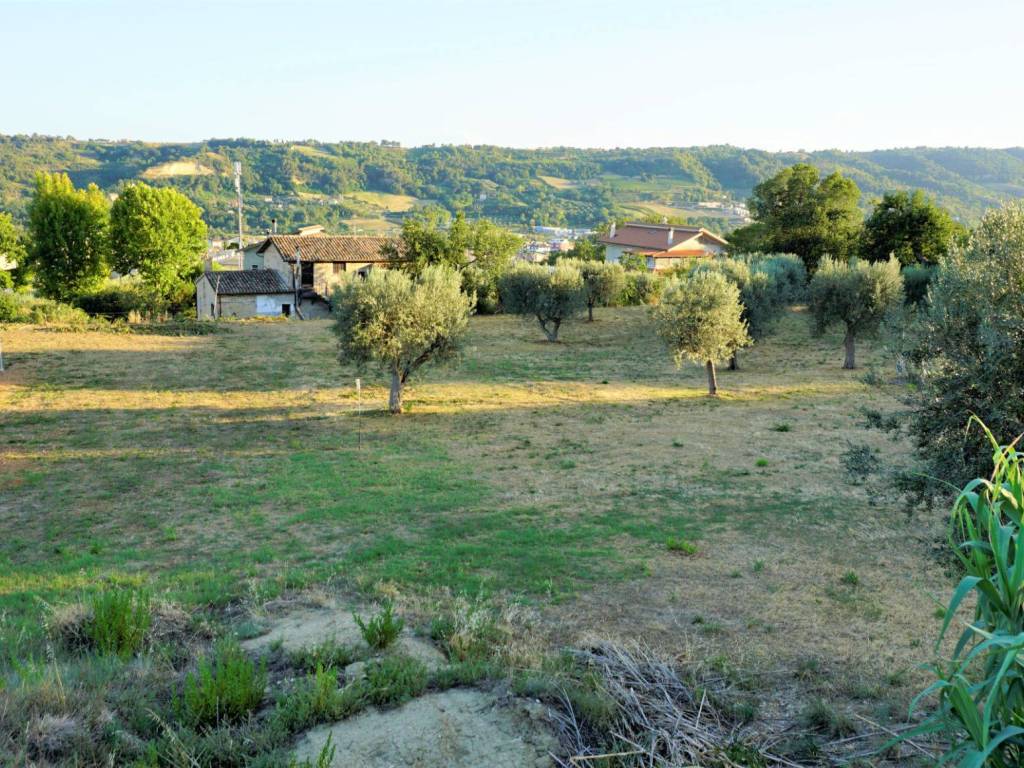 Terreno a Grottammare in Strada Provinciale Cuprense - Foto 3