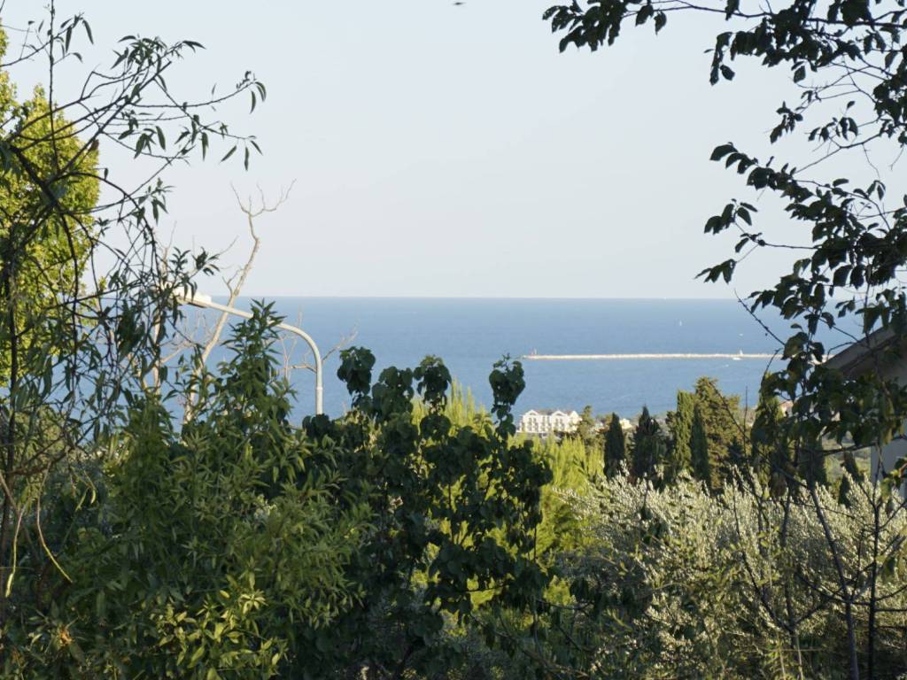 Terreno a Grottammare in Strada Provinciale Cuprense - Foto 4