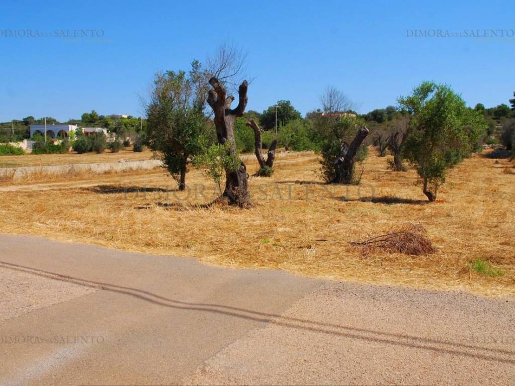 Terreno a Salve in VIA ANNA MAGNANI - Foto 2