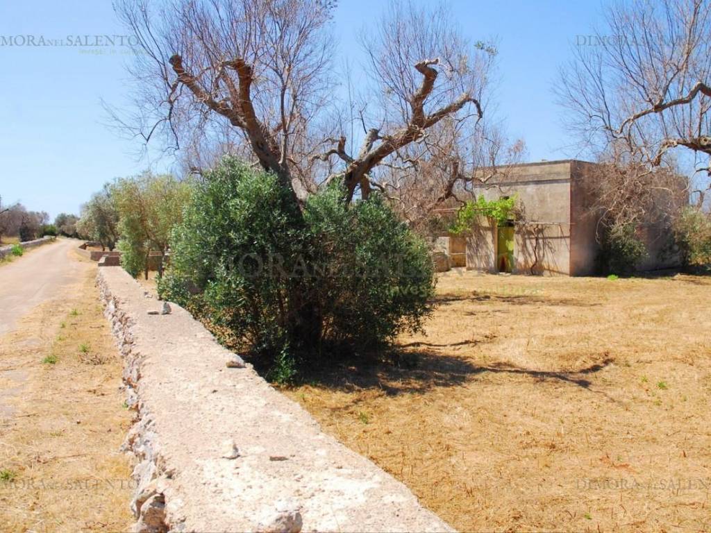 Terreno a Alessano in VIA TRIESTE - Foto 2