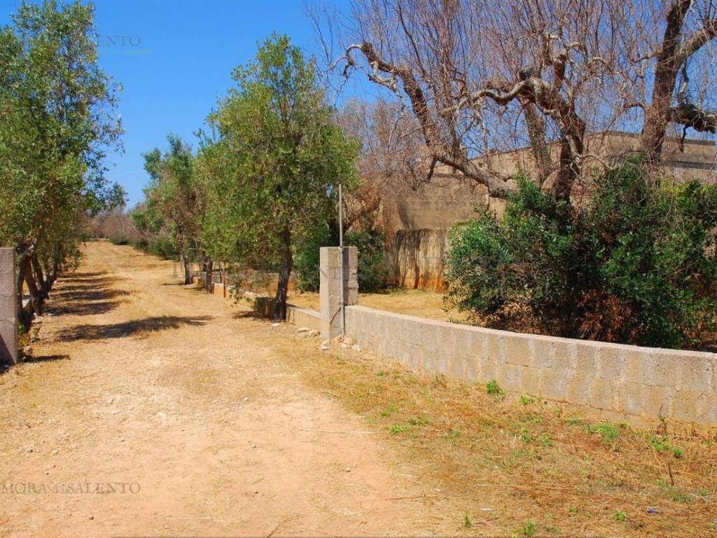 Terreno a Alessano in VIA TRIESTE - Foto 5