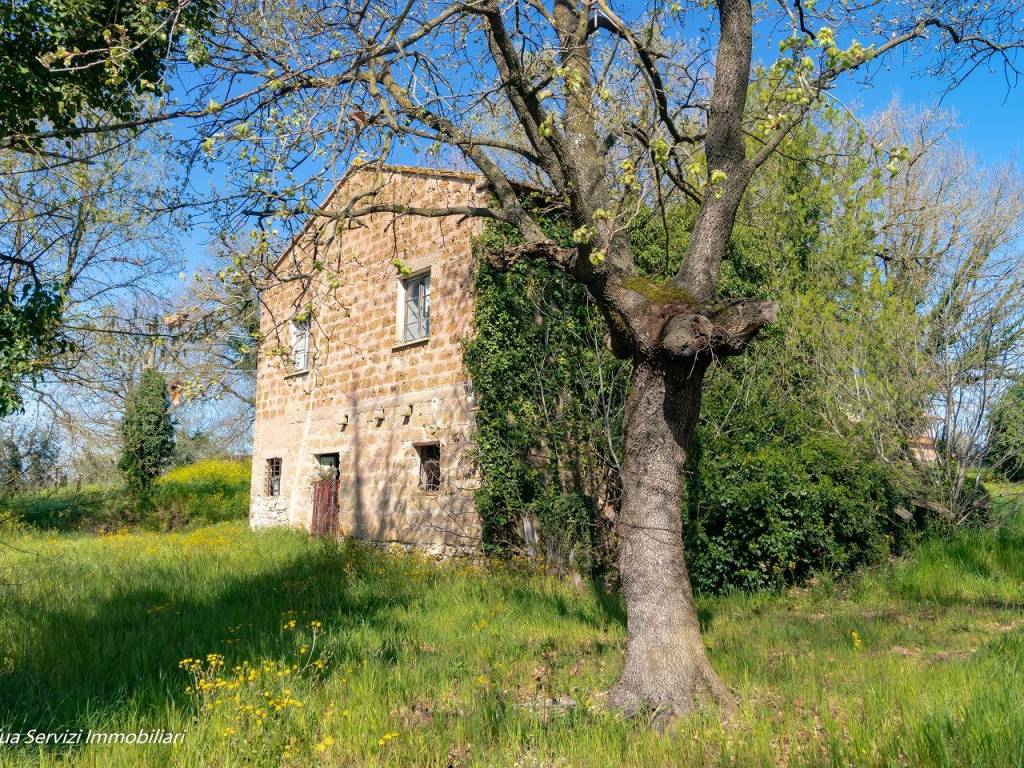 Rustico / casale a Attigliano in Strada della Piantata - Foto 3