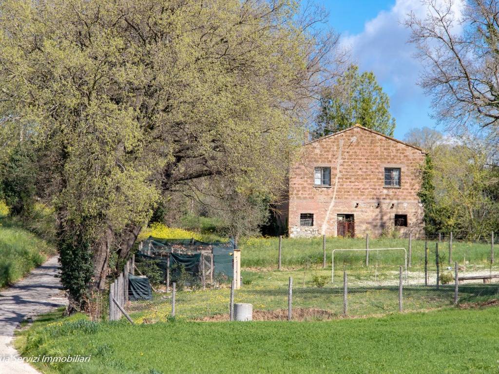 Rustico / casale a Attigliano in Strada della Piantata - Foto 5