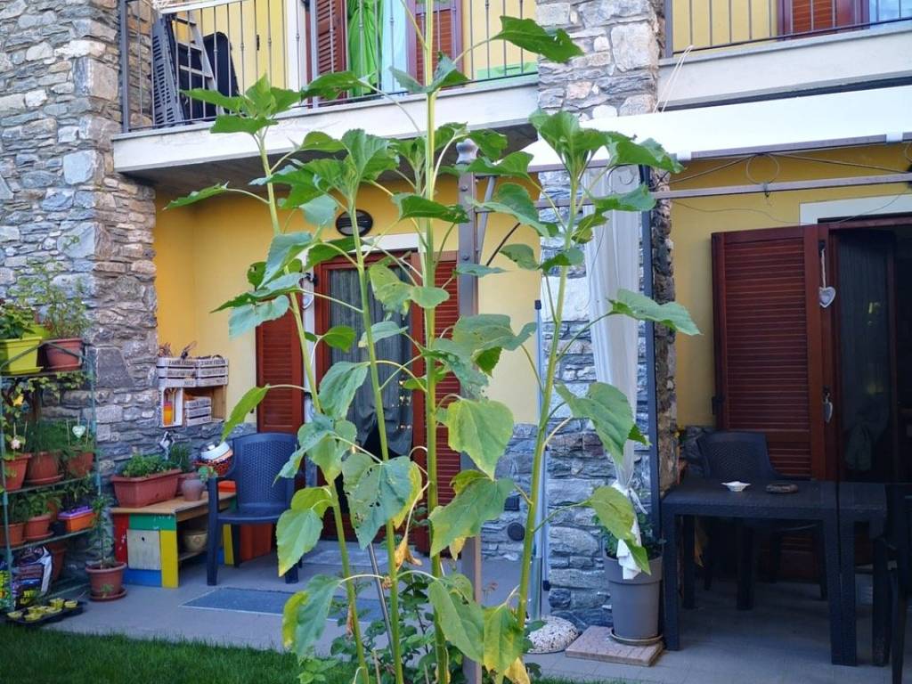 Villa a Aosta in Strada Ponte Suaz - Foto 2