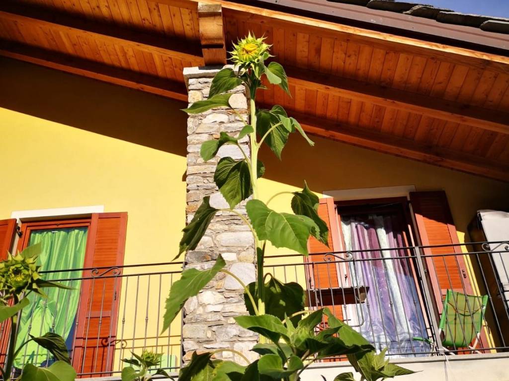 Villa a Aosta in Strada Ponte Suaz - Foto 3
