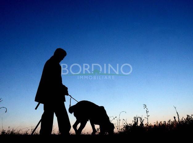 Terreno a Govone - Foto 3