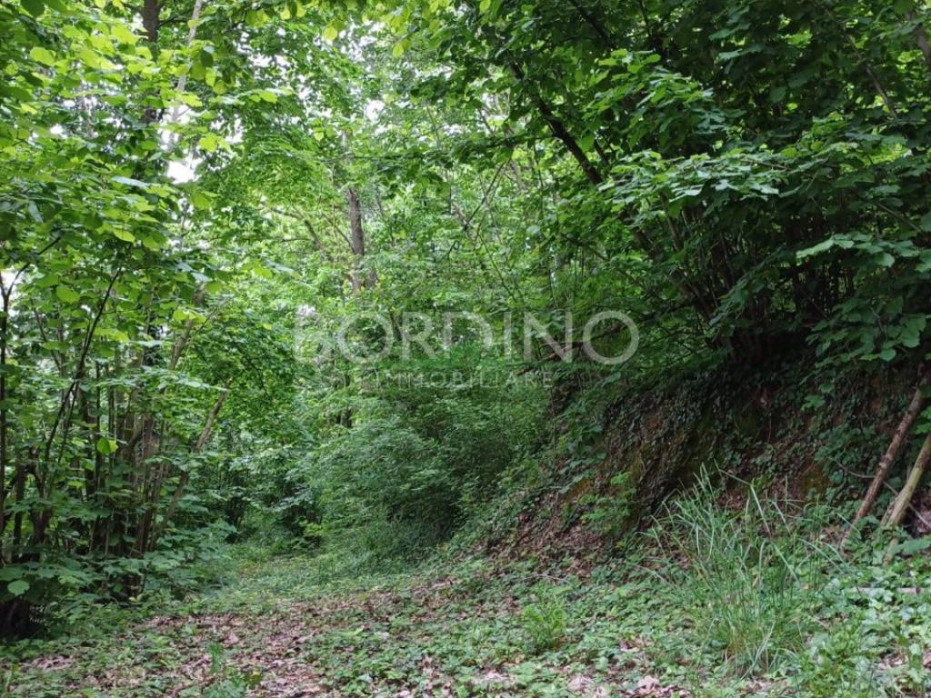 Terreno a Govone - Foto 5