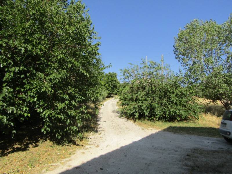 Rustico / casale a San marcello in Via Montelatiere, 19 - Foto 4