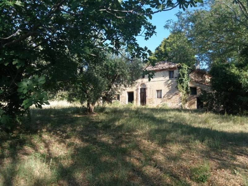 Rustico / casale a Monte san vito in Via Roma, 2 - Foto 4