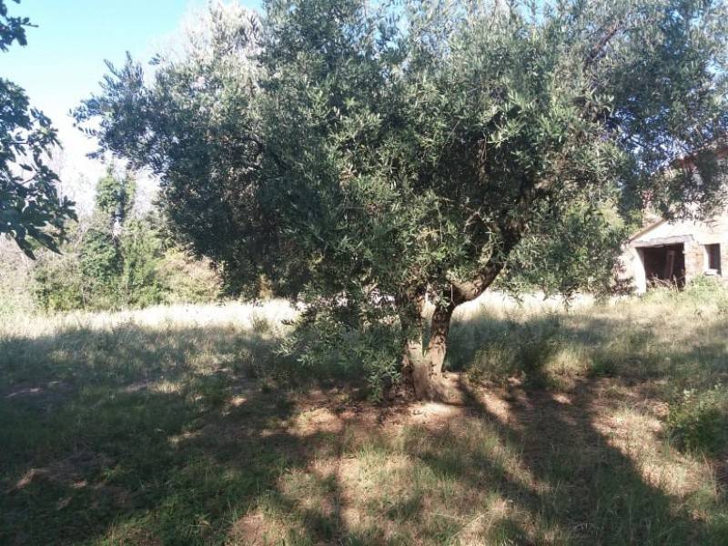 Rustico / casale a Monte san vito in Via Roma, 2 - Foto 5