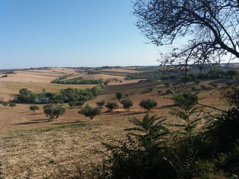 Rustico / casale a Monte san vito in Via Roma, 2 - Foto 2