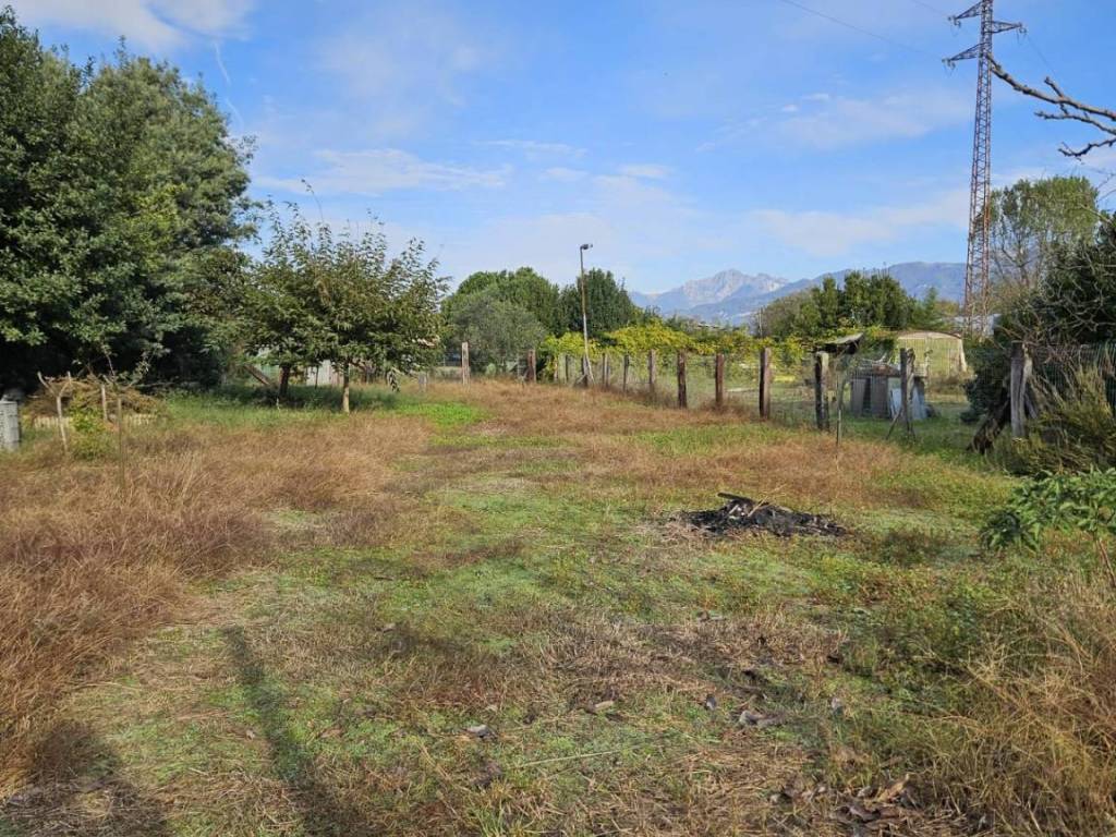 Terreno a Viareggio - Foto 1