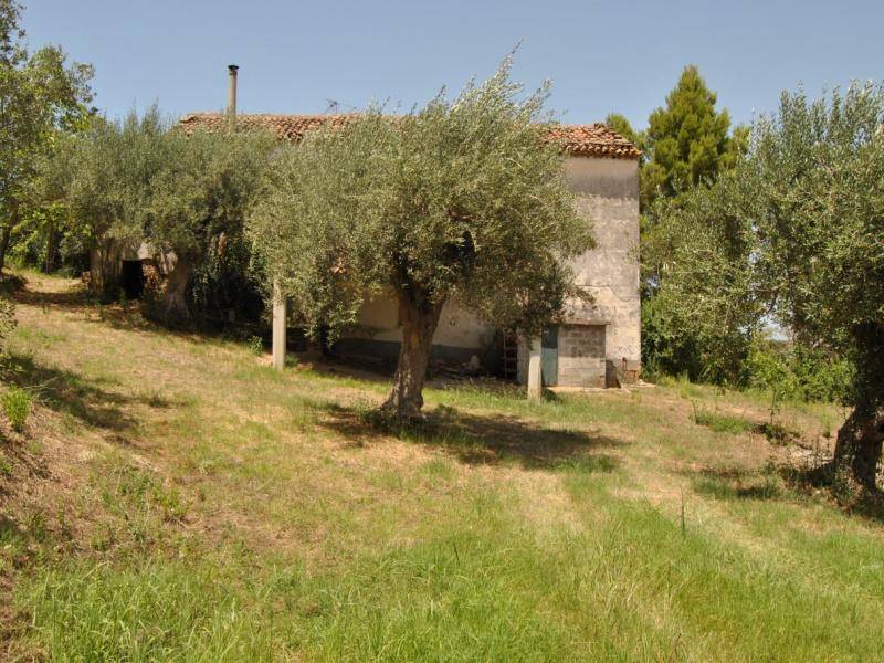 Villa a Cicerale in contrada san felice - Foto 5