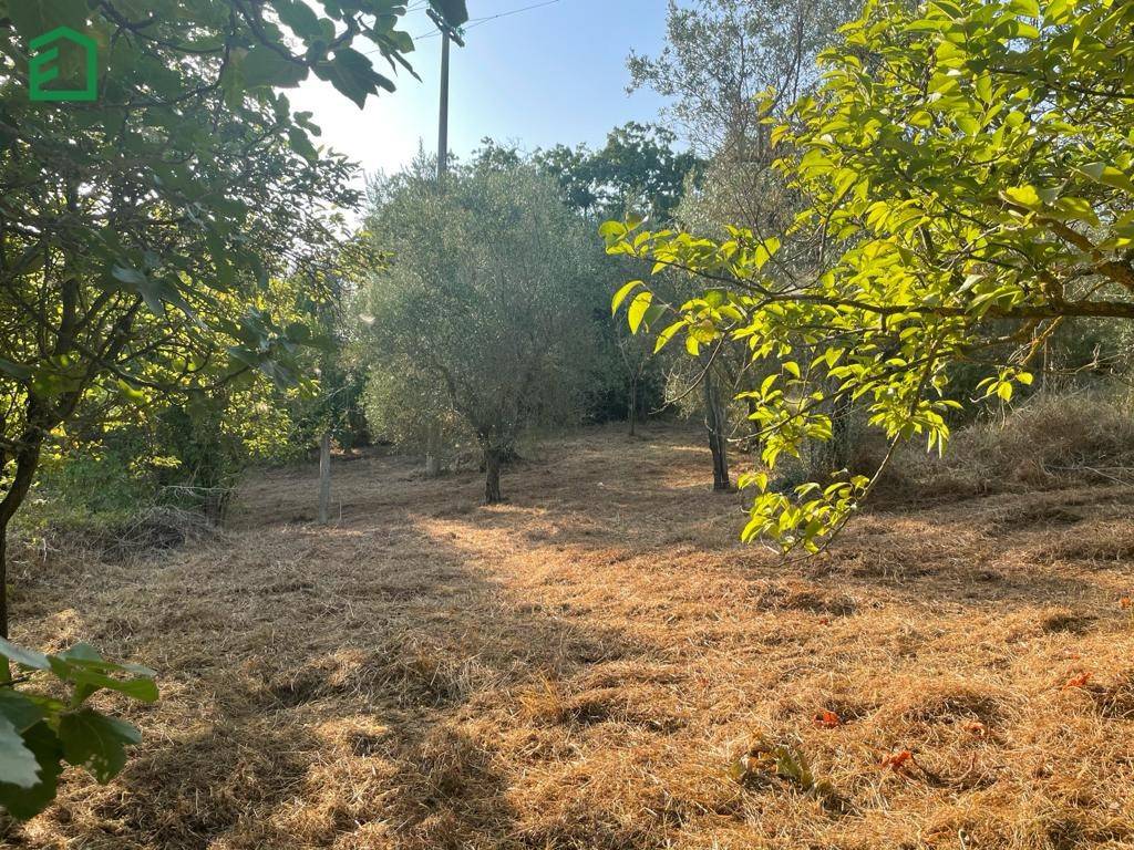 Rustico / casale a Amelia in Via Rimembranze - Foto 5