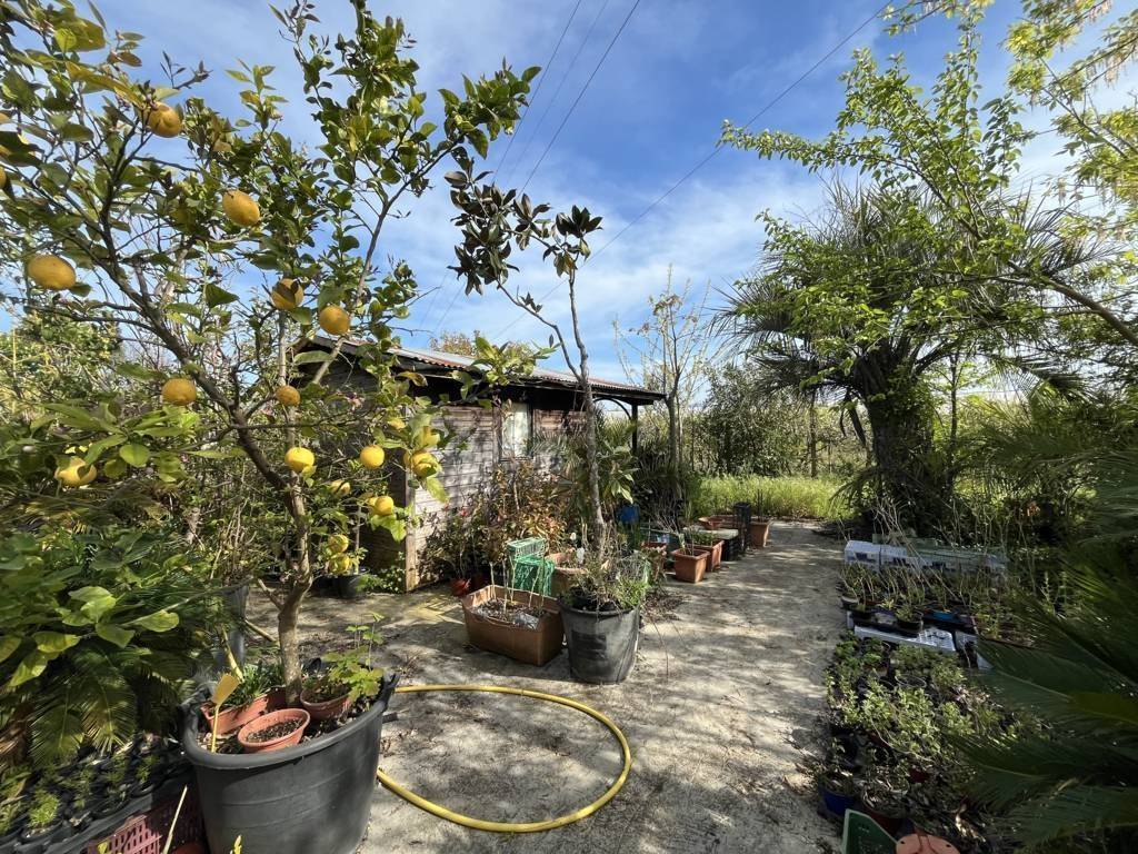 Terreno a Fondi - Foto 3