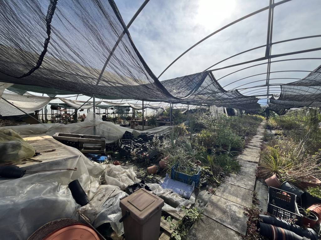 Terreno a Fondi - Foto 5