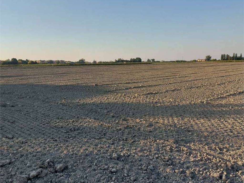 Terreno a Bomporto in VIA PER MODENA, 1000 - Foto 2