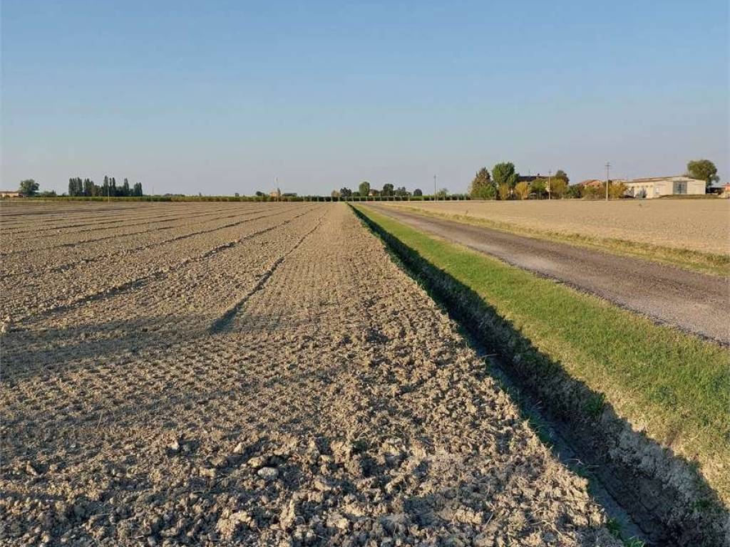 Terreno a Bomporto in VIA PER MODENA, 1000 - Foto 3