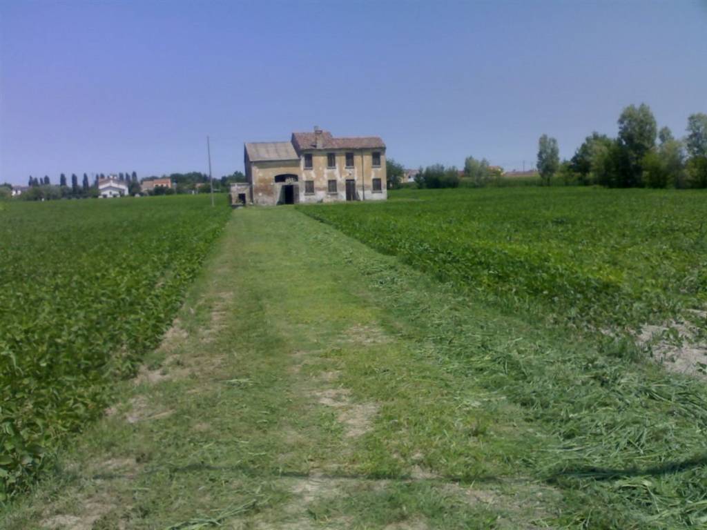 Terreno a Papozze - Foto 2