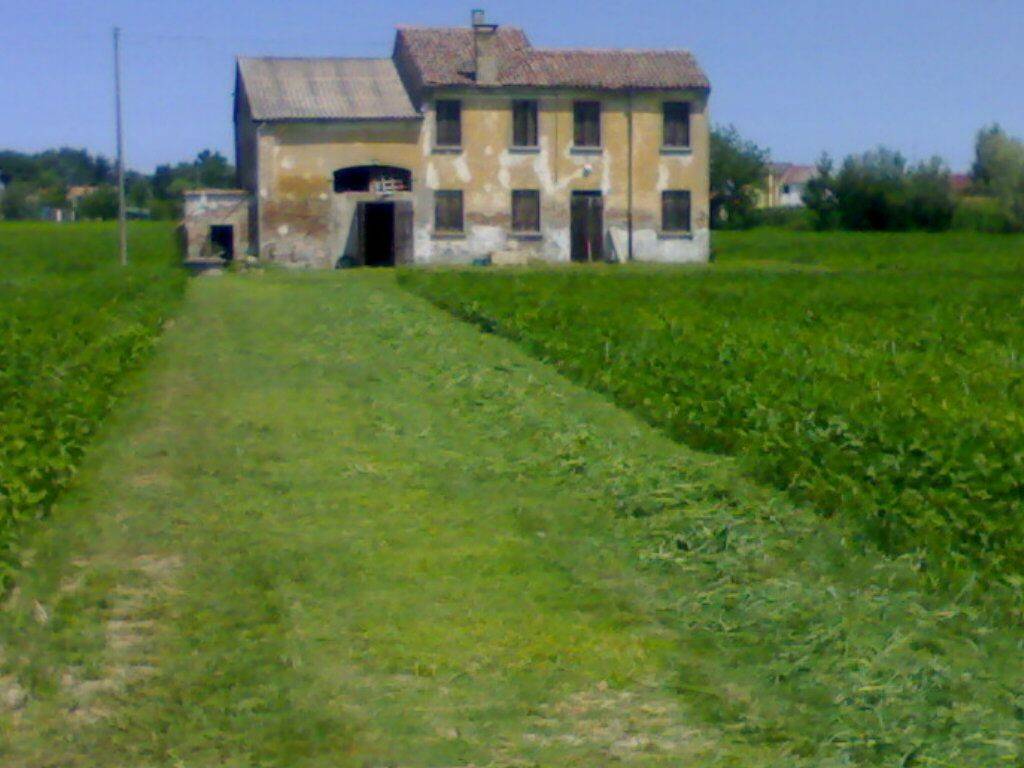 Terreno a Papozze - Foto 3