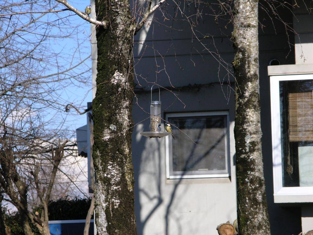 Villa a Udine in Viale Palmanova - Foto 5