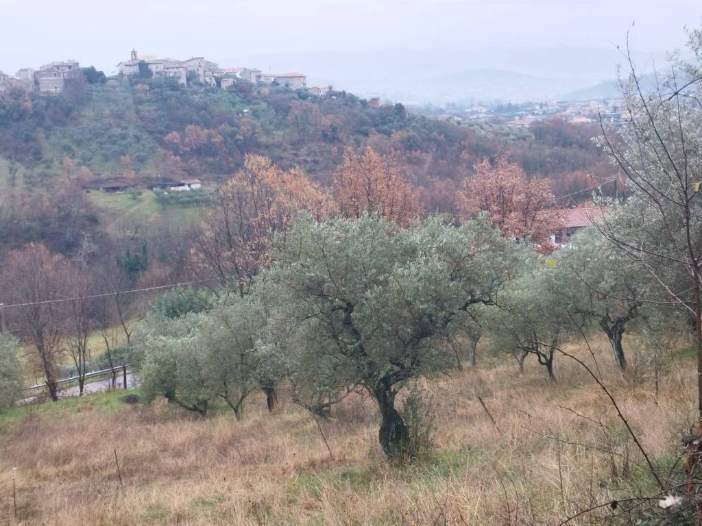Terreno a Veroli in Contrada Carpinette, 30 - Foto 3