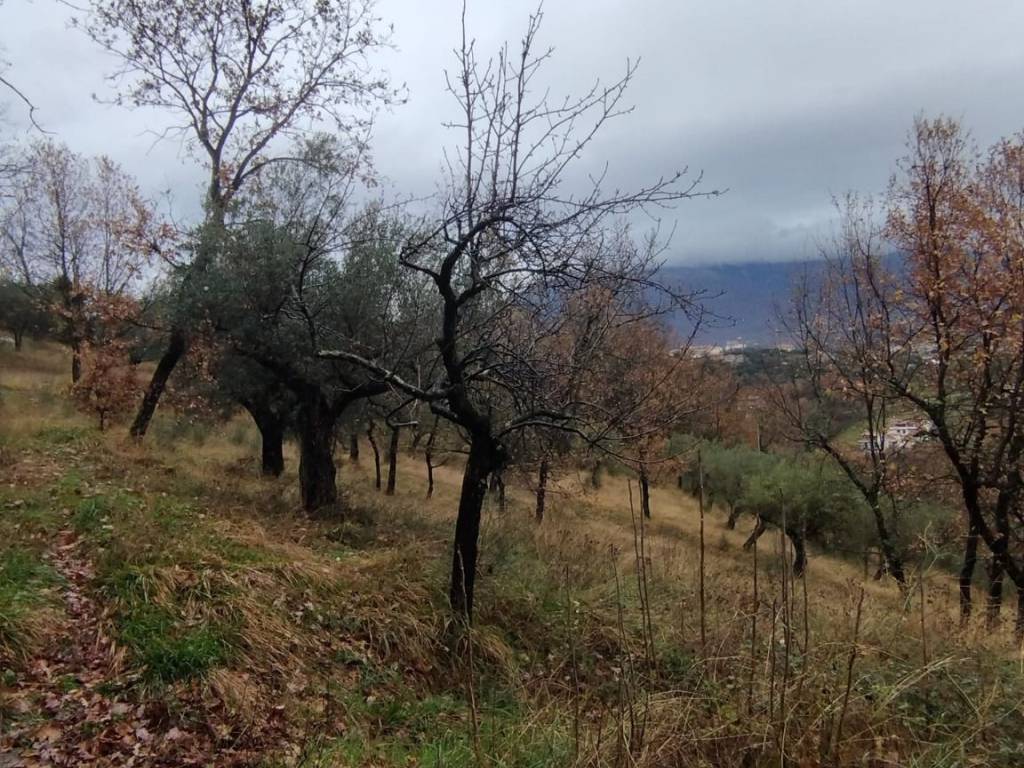 Terreno a Veroli in Contrada Carpinette, 30 - Foto 4