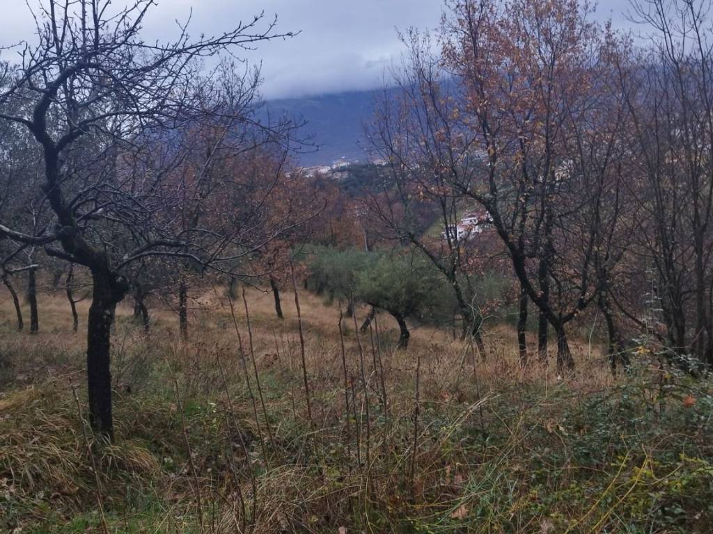 Terreno a Veroli in Contrada Carpinette, 30 - Foto 5