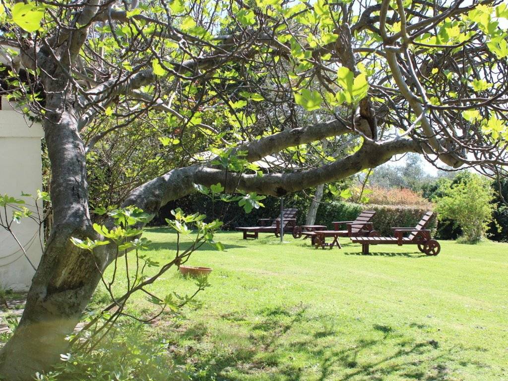 Villa a Santarcangelo di romagna - Foto 4