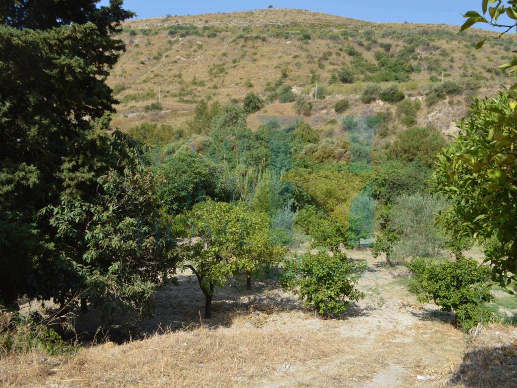Rustico / casale a Noto in Via Tommaso Fazello, 228 - Foto 3