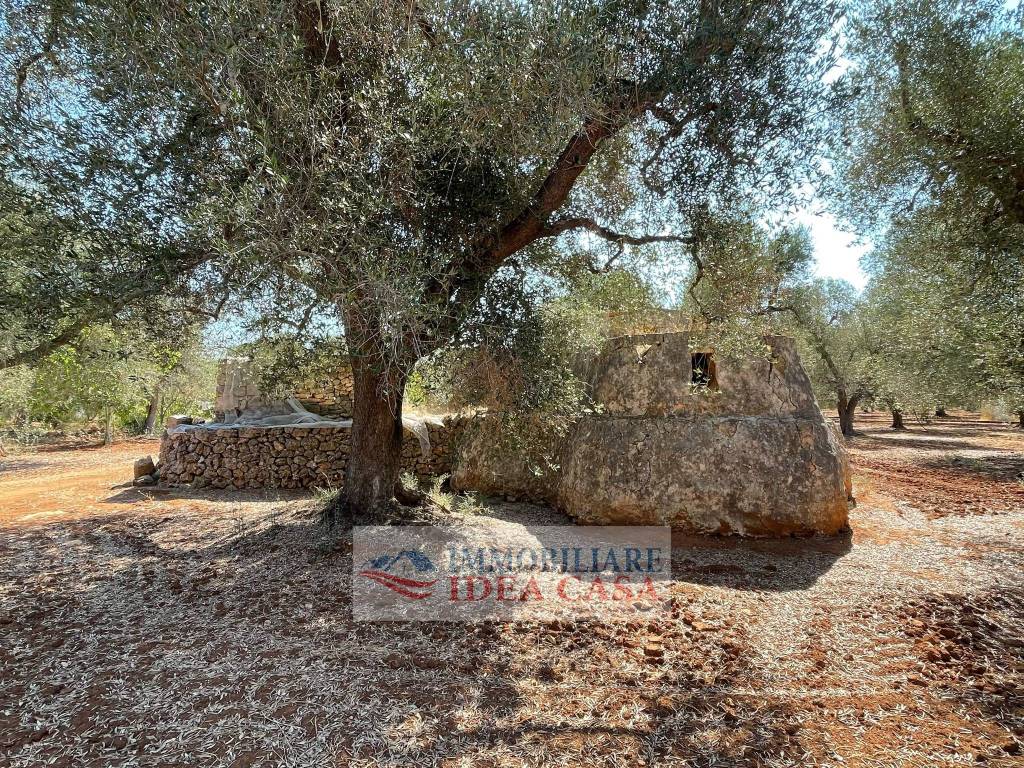 Rustico / casale a Francavilla fontana - Foto 3