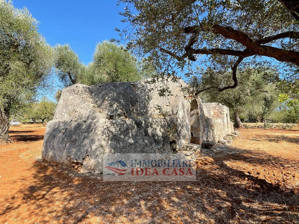 Rustico / casale a Francavilla fontana - Foto 4