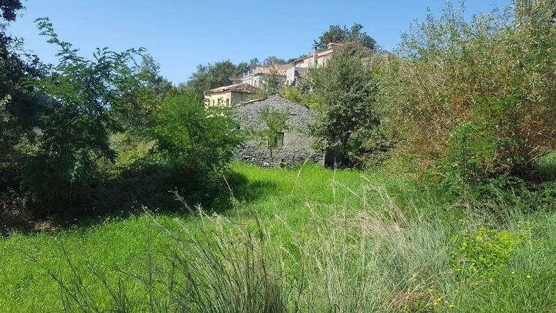 Terreno a Belvedere marittimo in Contrada Petrosa - Foto 2