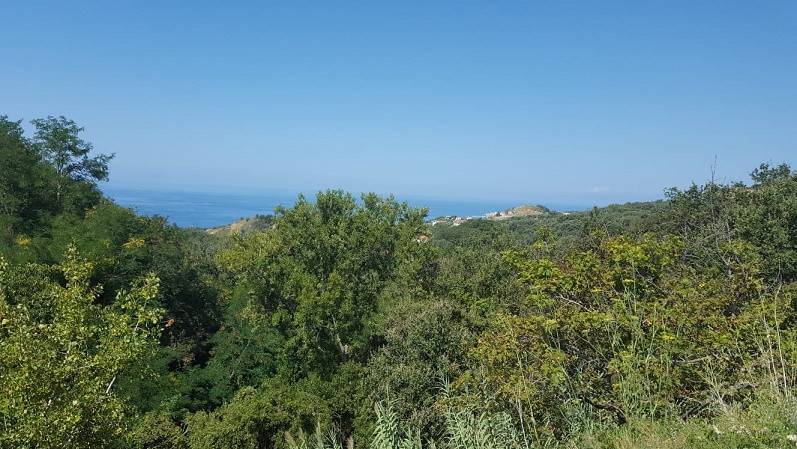 Terreno a Belvedere marittimo in Contrada Petrosa - Foto 3