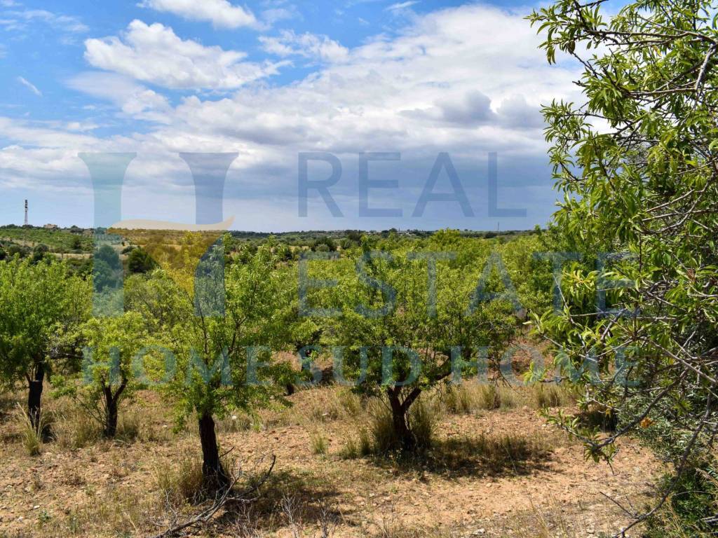 Terreno a Noto in Via Tommaso Fazello, 228 - Foto 2