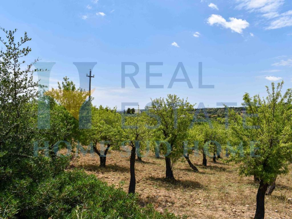 Terreno a Noto in Via Tommaso Fazello, 228 - Foto 3