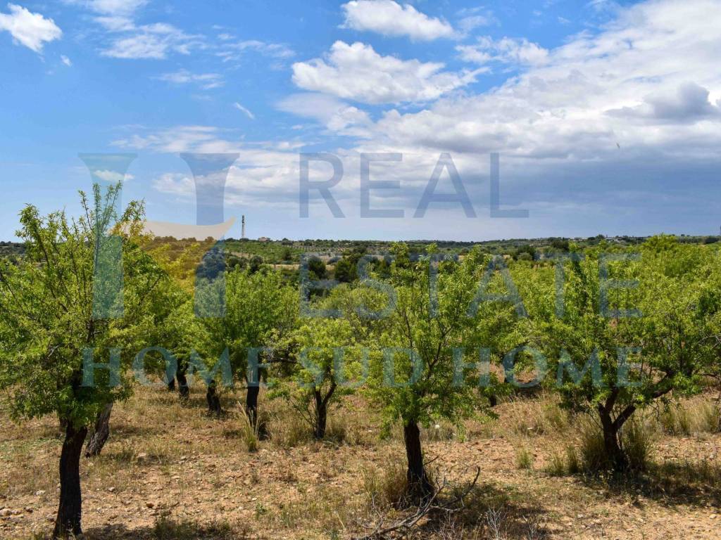 Terreno a Noto in Via Tommaso Fazello, 228 - Foto 4