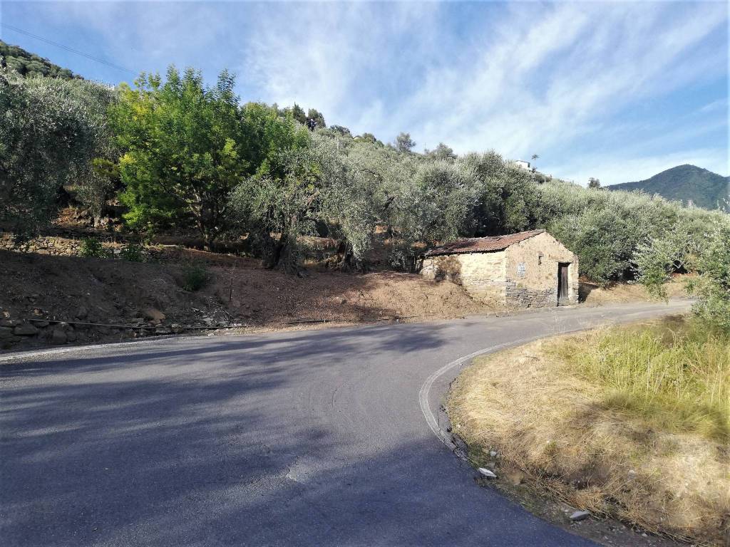 Terreno a Perinaldo in Località Villa - Foto 5