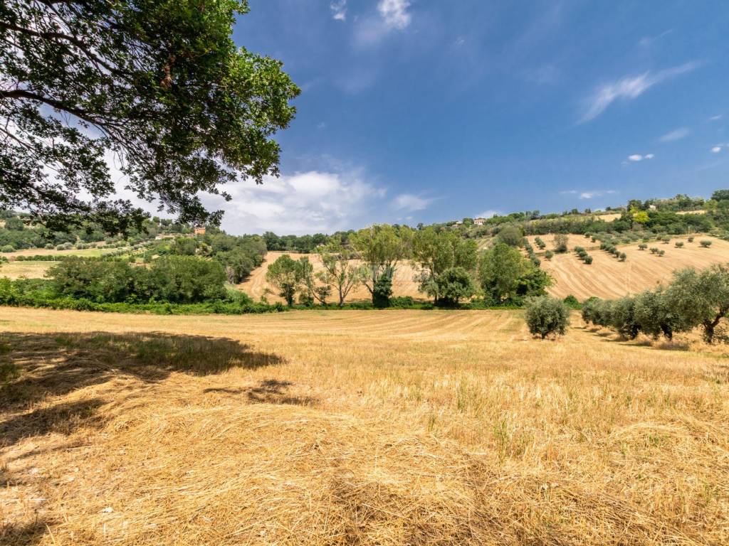 Terreno a Civitanova marche in Contrada Mornano - Foto 2