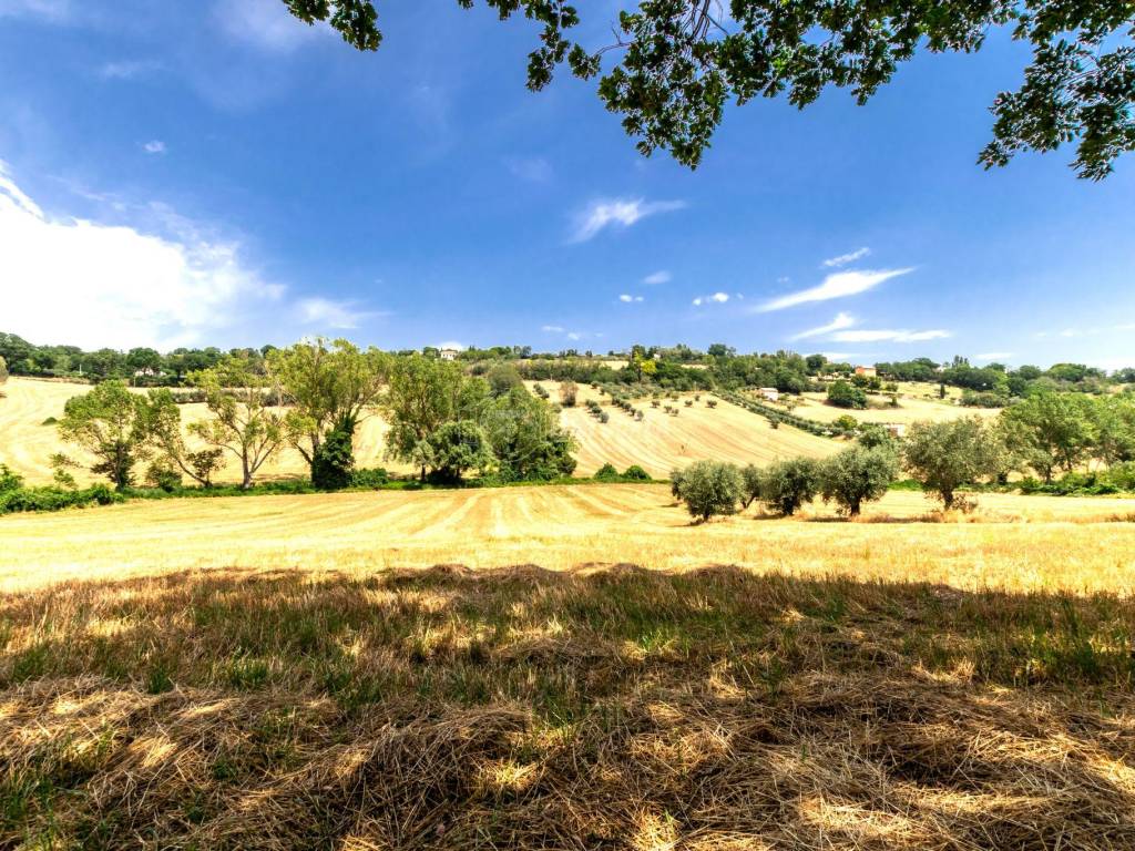Terreno a Civitanova marche in Contrada Mornano - Foto 3