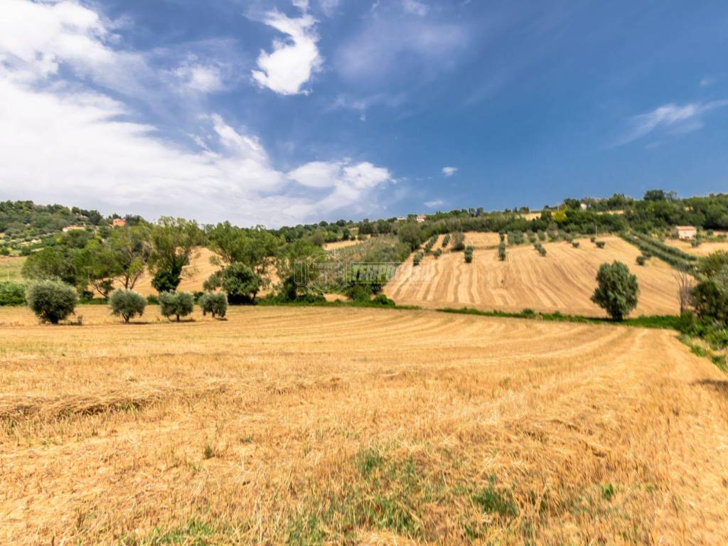 Terreno a Civitanova marche in Contrada Mornano - Foto 4