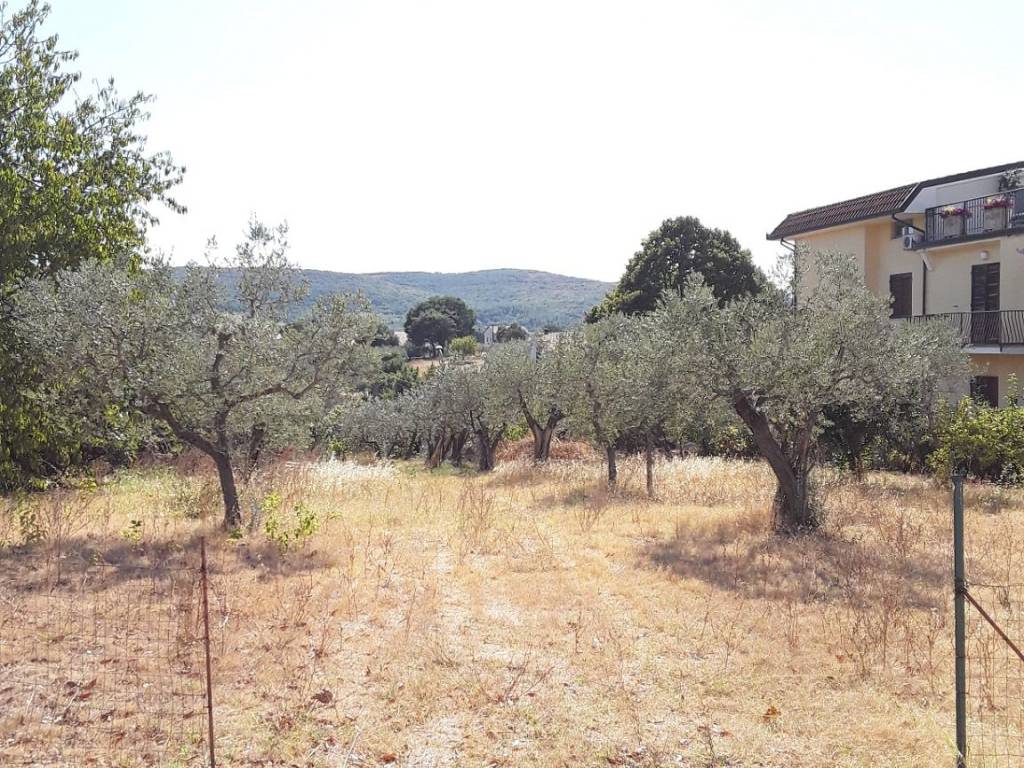 Terreno a Gualdo cattaneo in Via delle Scuole - Foto 3