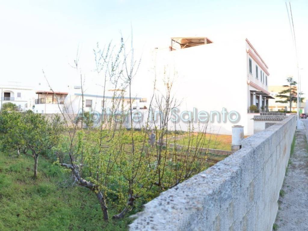 Terreno a Patù - Foto 3