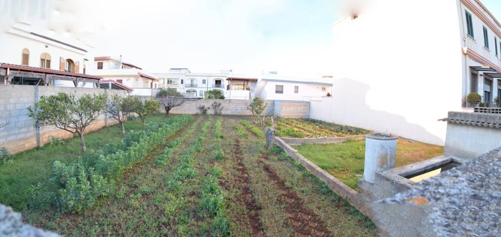 Terreno a Patù - Foto 5