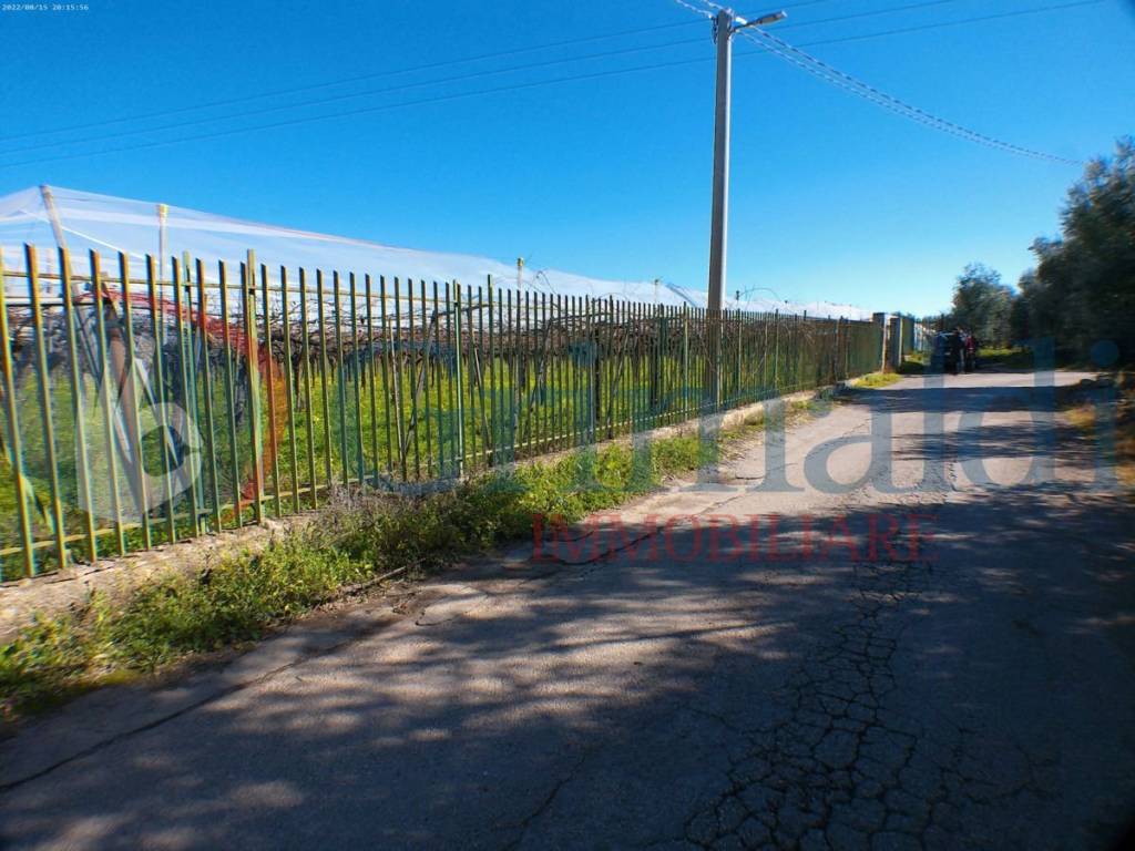 Terreno a Trani in Strada vicinale Moschetto, 21 - Foto 5