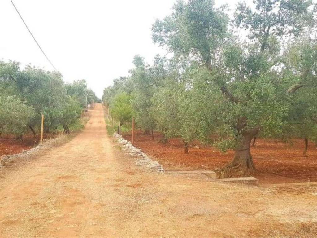 Terreno a Carovigno - Foto 2