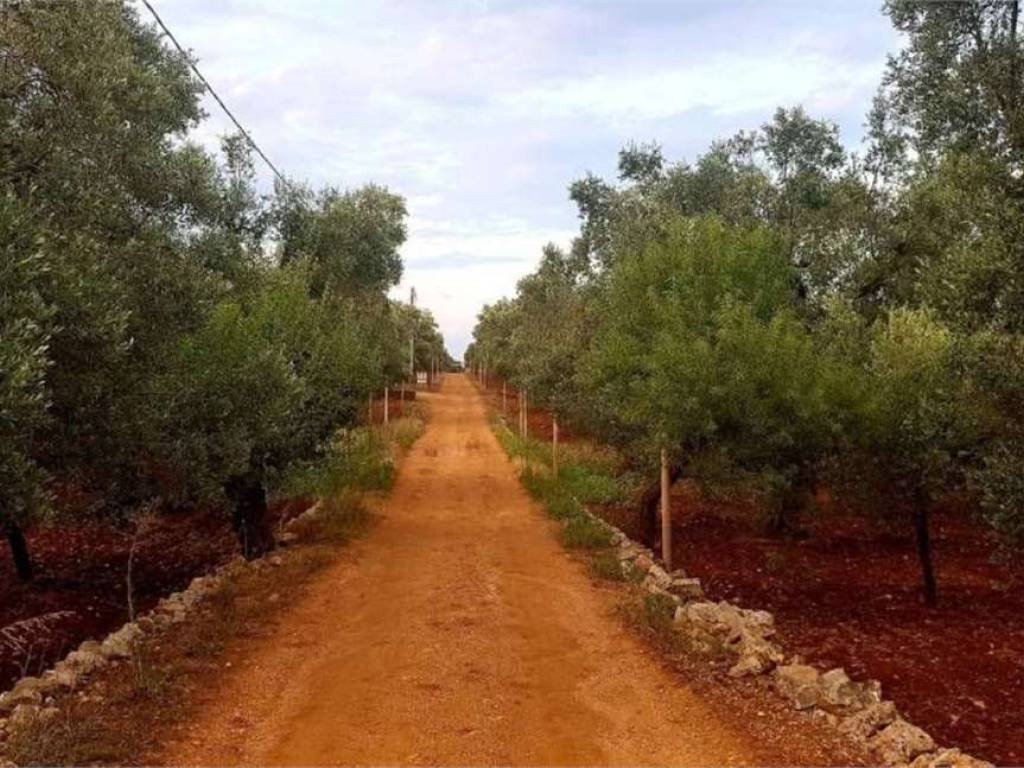 Terreno a Carovigno - Foto 3