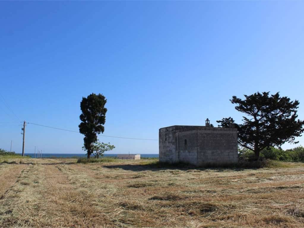 Rustico / casale a Carovigno - Foto 3