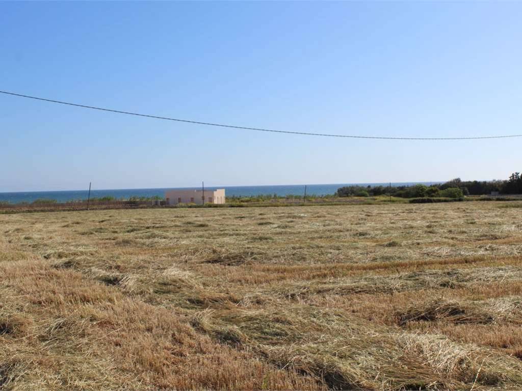 Rustico / casale a Carovigno - Foto 4